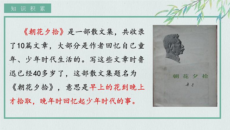 人教部编版初中语文七年级上册 《9.从百草园到三味书屋》课件+教案05