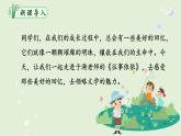 人教部编版初中语文七年级上册 《10.往事依依》课件+教案