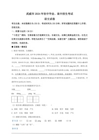 [语文]2024年甘肃省武威市中考语文真题(解析版)