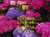 第1课《春》教学课件 2024—2025学年统编版语文七年级上册