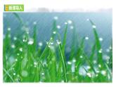 【任务型教学】部编版初中语文七上第一单元3 ＊《雨的四季》 课件+教案+学案+同步检测（含答案）