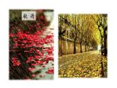 【任务型教学】部编版初中语文七上第一单元3 ＊《雨的四季》 课件+教案+学案+同步检测（含答案）