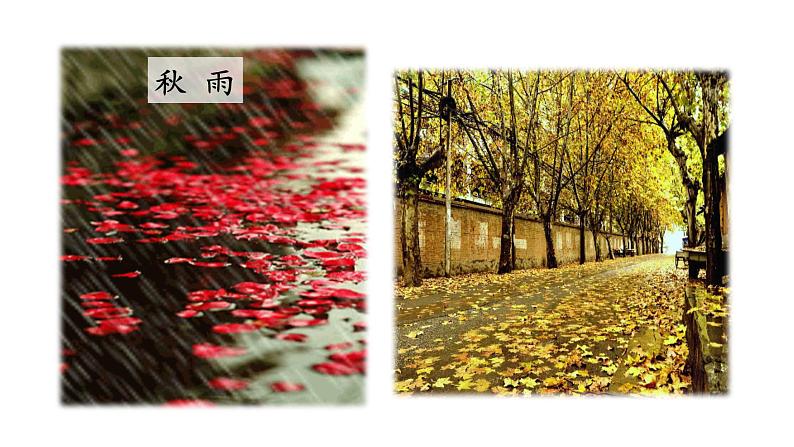 【任务型教学】部编版初中语文七上第一单元3 ＊《雨的四季》 课件+教案+学案+同步检测（含答案）03