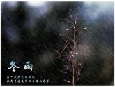 【任务型教学】部编版初中语文七上第一单元3 ＊《雨的四季》 课件+教案+学案+同步检测（含答案）