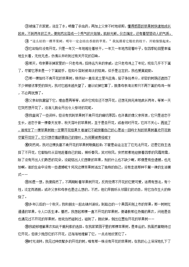 浙江省宁波市第七中学教育集团2023-2024学年七年级下学期期末语文试卷第3页