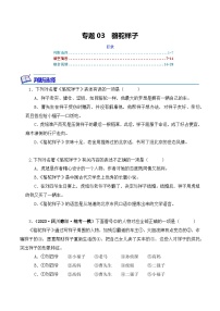 专题03 骆驼祥子-2024年中考语文复习文学名著必考篇目分层训练（含答案）