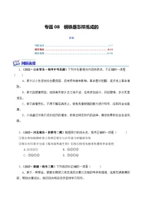 专题08 钢铁是怎样炼成的-2024年中考语文复习文学名著必考篇目分层训练（含答案）