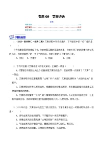 专题09 艾青诗选-2024年中考语文复习文学名著必考篇目分层训练（含答案）