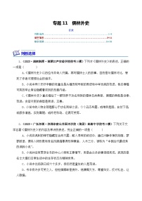 专题11 儒林外史-2024年中考语文复习文学名著必考篇目分层训练（含答案）