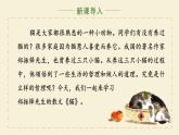 人教部编版初中语文七年级上册 《17. 猫》课件+教案