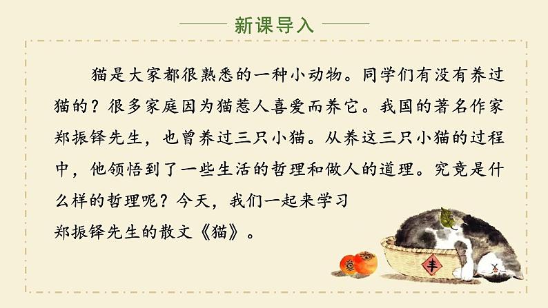 人教部编版初中语文七年级上册 《17. 猫》课件+教案02
