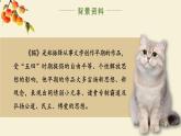 人教部编版初中语文七年级上册 《17. 猫》课件+教案