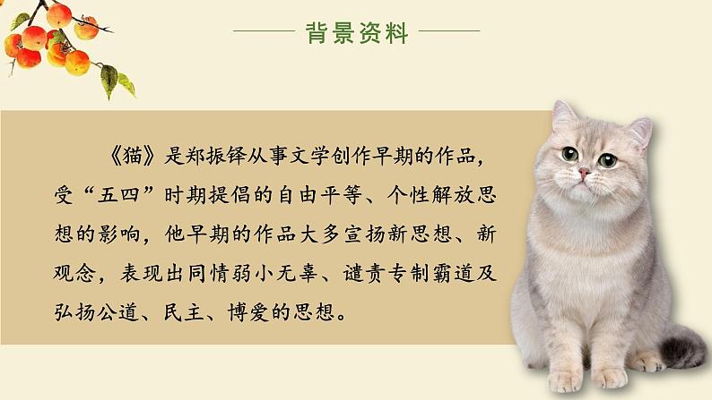 人教部编版初中语文七年级上册 《17. 猫》课件+教案05