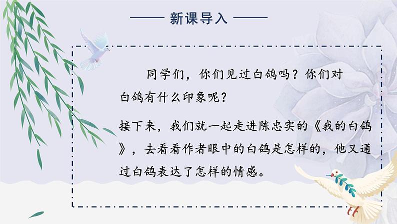 人教部编版初中语文七年级上册 《18.我的白鸽》课件+教案02