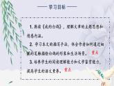人教部编版初中语文七年级上册 《18.我的白鸽》课件+教案