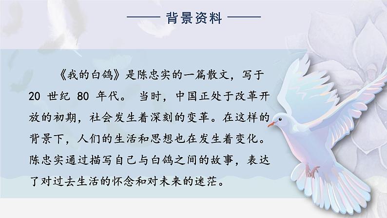 人教部编版初中语文七年级上册 《18.我的白鸽》课件+教案05