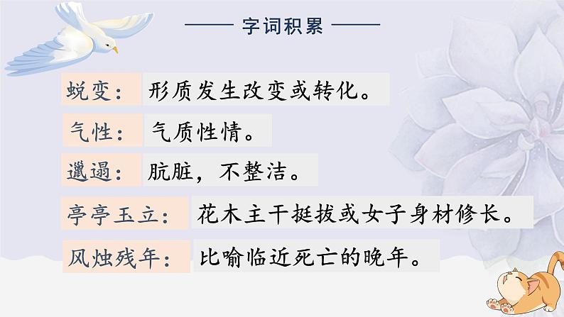 人教部编版初中语文七年级上册 《18.我的白鸽》课件+教案07