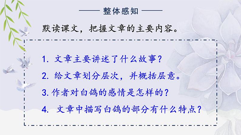 人教部编版初中语文七年级上册 《18.我的白鸽》课件+教案08