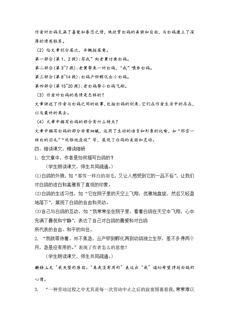 人教部编版初中语文七年级上册 《18.我的白鸽》课件+教案03