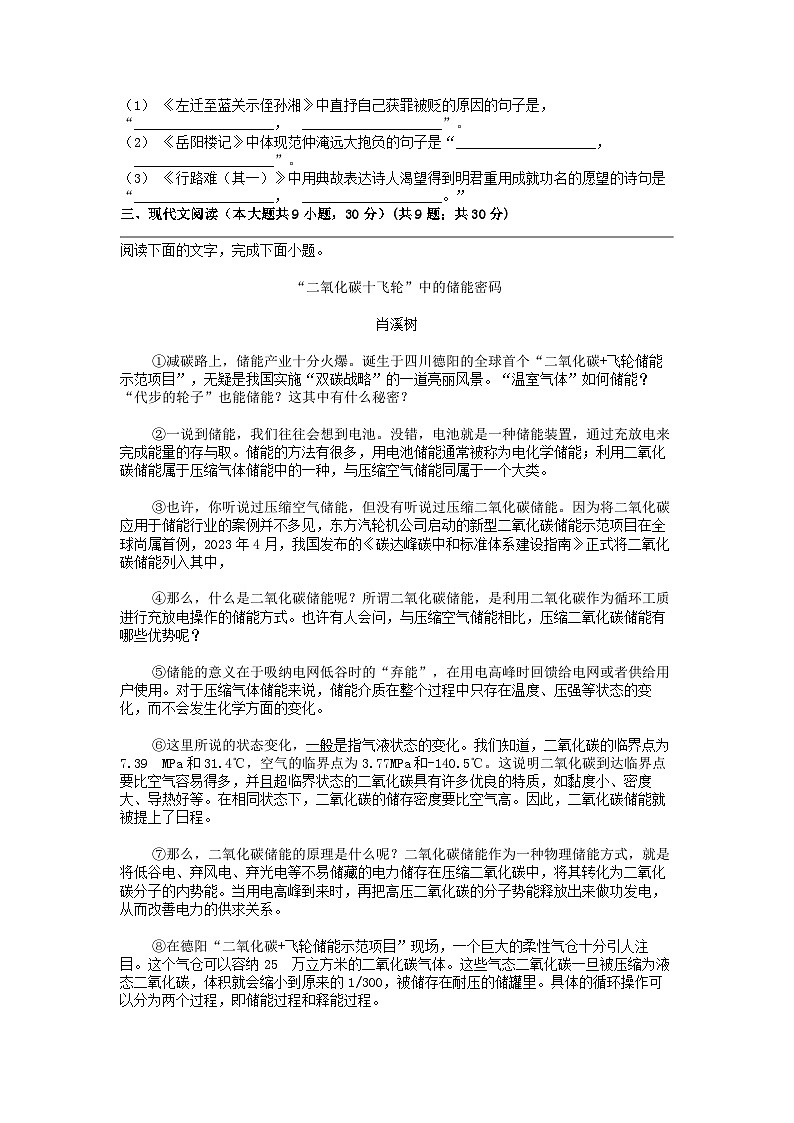[语文]江西省丰城中学2023-2024学年八年级下学期语文5月月考试卷第3页