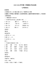 河南省濮阳市2023-2024学年七年级下学期期末语文试题（解析版）