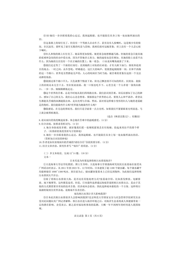 [语文]2024年河南省驻马店市汝南县校联考中考模拟预测语文试题(无答案)第3页