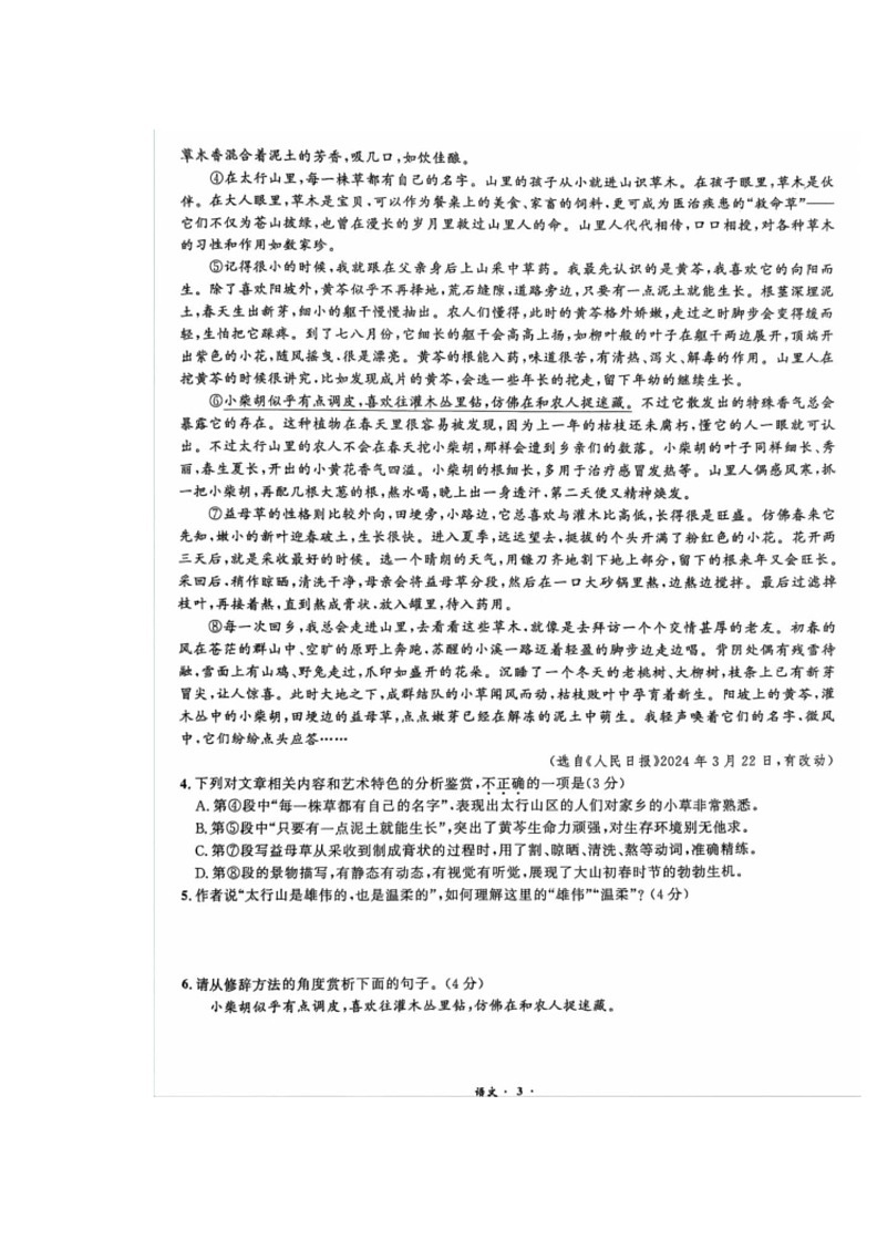 [语文]2024安徽省中考语文试题(有答案)第3页