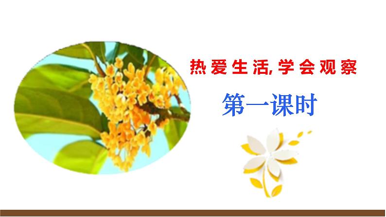 【任务型教学】部编版初中语文七上第一单元写作《热爱生活，学会观察》（课件+教案+学案）06
