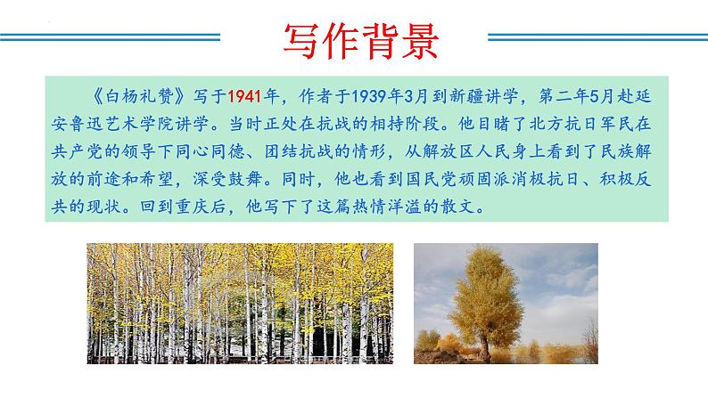编版版语文八年级上册 第15课   白杨礼赞（教学课件）第6页