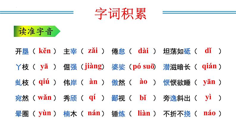 编版版语文八年级上册 第15课   白杨礼赞（教学课件）第7页