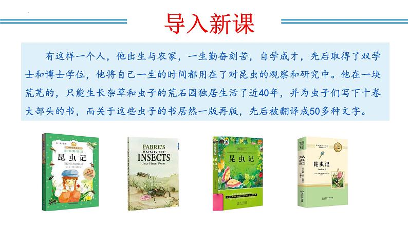 编版版语文八年级上册 名著阅读：《昆虫记》科普作品的阅读（教学课件）04