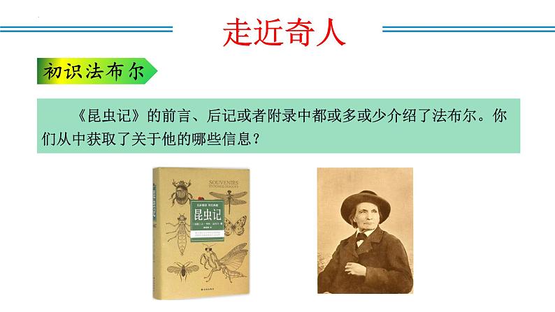 编版版语文八年级上册 名著阅读：《昆虫记》科普作品的阅读（教学课件）05