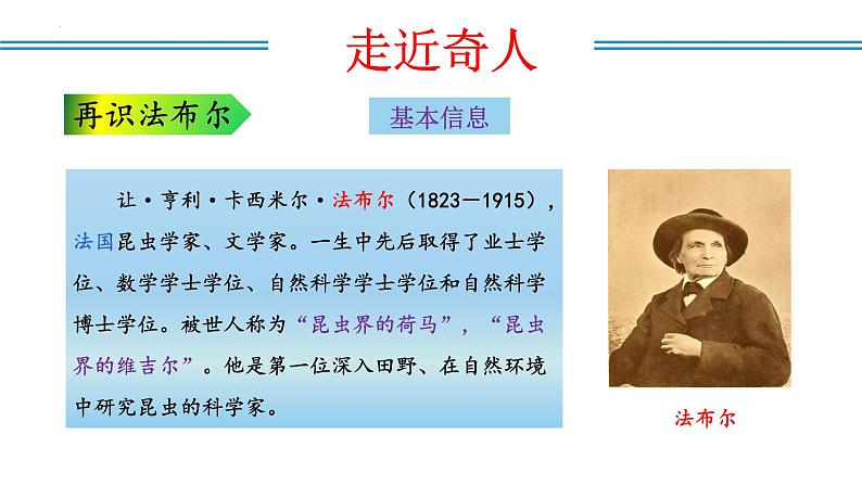 编版版语文八年级上册 名著阅读：《昆虫记》科普作品的阅读（教学课件）06