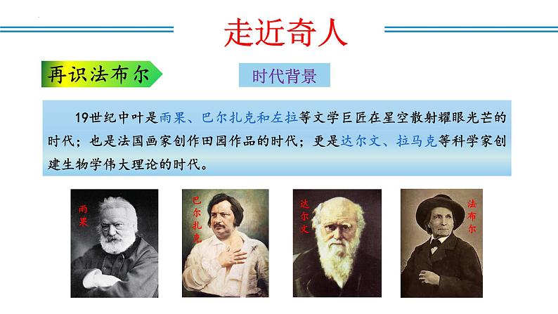 编版版语文八年级上册 名著阅读：《昆虫记》科普作品的阅读（教学课件）07