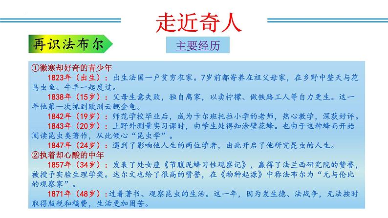 编版版语文八年级上册 名著阅读：《昆虫记》科普作品的阅读（教学课件）08