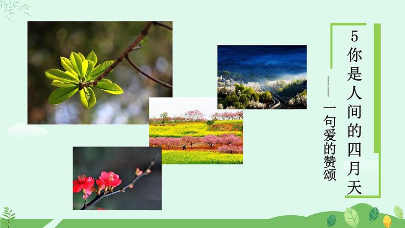 5 你是人间的四月天课件+教案+学案+素材01