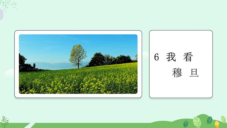 6 我看课件+教案+学案+素材01