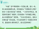 6 我看课件+教案+学案+素材