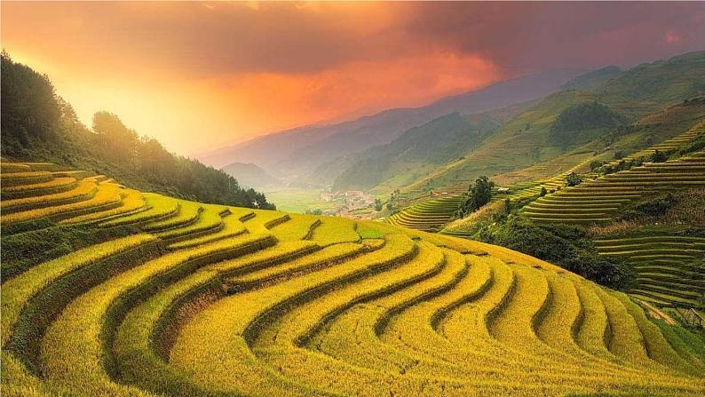 部编版九上语文第一单元《我爱这土地》同步课件第1页