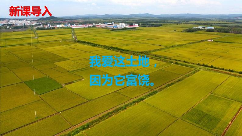 部编版九上语文第一单元《我爱这土地》同步课件第6页