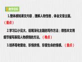 【任務(wù)型教學(xué)】部編版初中語(yǔ)文七上第二單元6《散步》 課件+教案+學(xué)案+同步檢測(cè)（含答案）