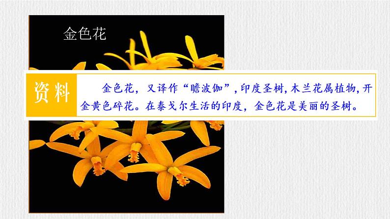 【任务型教学】部编版初中语文七上第二单元7＊《散文诗二首》 课件+教案+学案+同步检测（含答案）07