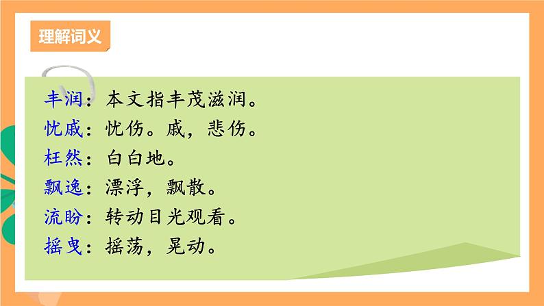 人教部编版语文九年级上册6《我看》课件08