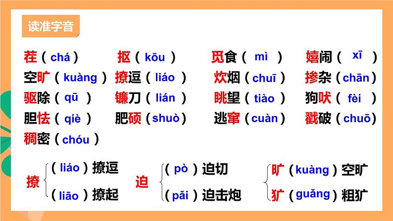 人教部编版语文九年级上册17《孤独之旅》课件05