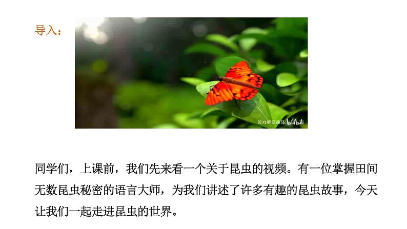 2024年统编版精讲课件名著导读 《昆虫记》科普作品的阅读03