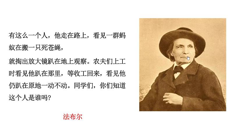 2024年统编版精讲课件名著导读 《昆虫记》科普作品的阅读04