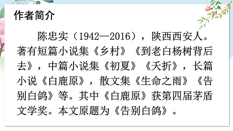 部编语文七年级上册 第5单元 18 我的白鸽 PPT课件+教案03