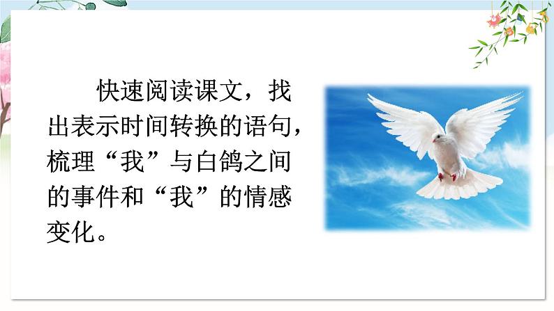 部编语文七年级上册 第5单元 18 我的白鸽 PPT课件+教案07