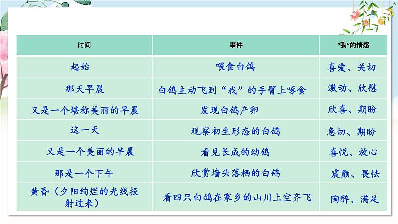 部编语文七年级上册 第5单元 18 我的白鸽 PPT课件+教案08