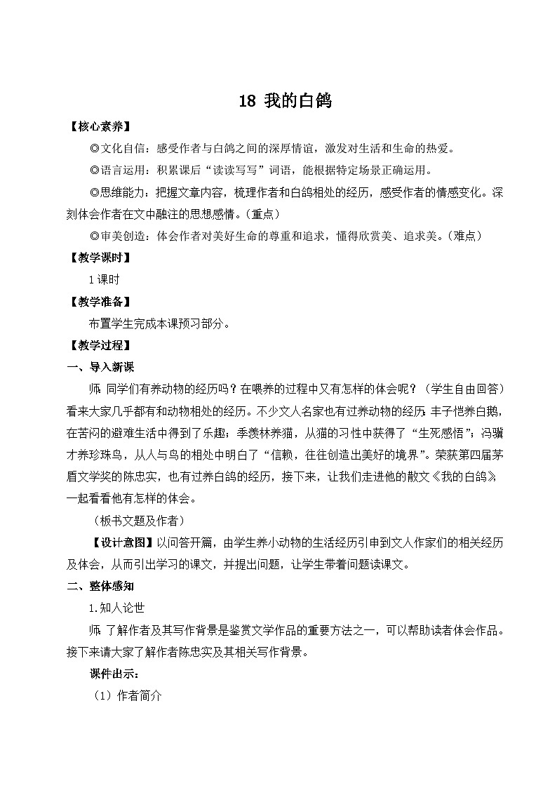 部编语文七年级上册 第5单元 18 我的白鸽 PPT课件+教案01